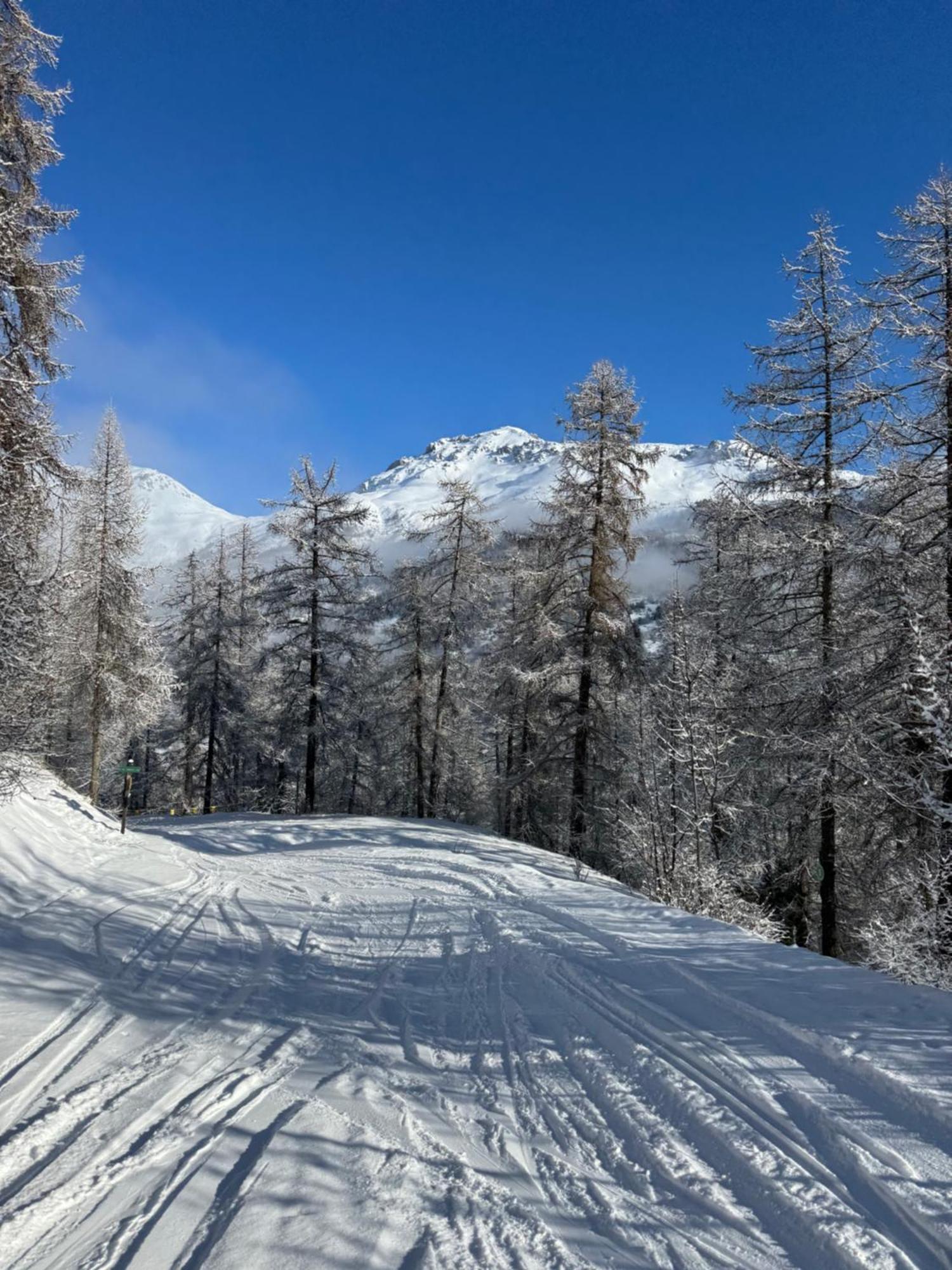 Piste Verte フルメ エクステリア 写真